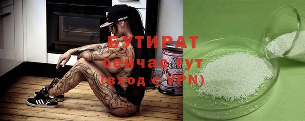 ПСИЛОЦИБИНОВЫЕ ГРИБЫ Осинники