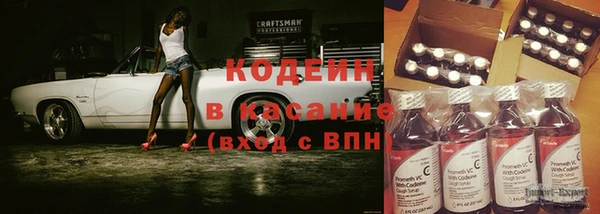 индика Саяногорск