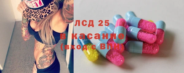ПСИЛОЦИБИНОВЫЕ ГРИБЫ Осинники