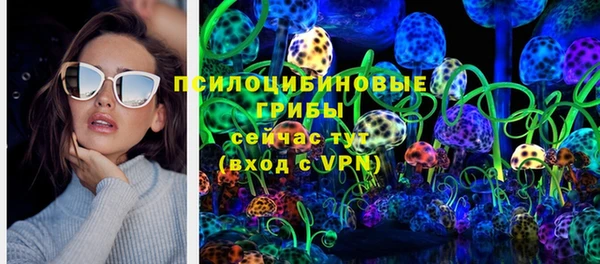 метадон Няндома