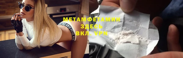 ПСИЛОЦИБИНОВЫЕ ГРИБЫ Осинники