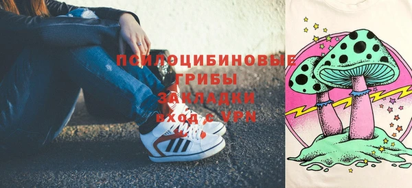метадон Няндома
