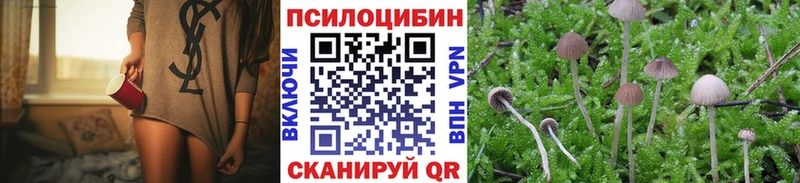 Псилоцибиновые грибы мухоморы  Западная Двина 