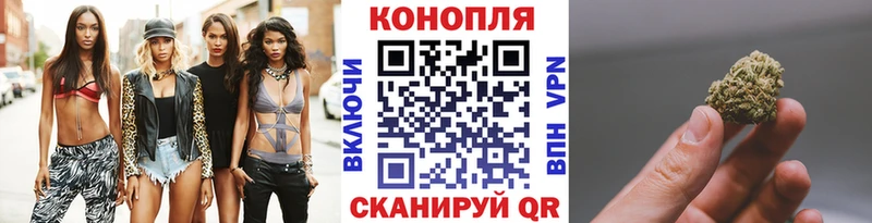 купить   Западная Двина  mega ссылка  Канабис индика 